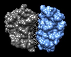 EquiRank: Improved protein-protein interface quality estimation using protein language-model-informed equivariant graph neural networks