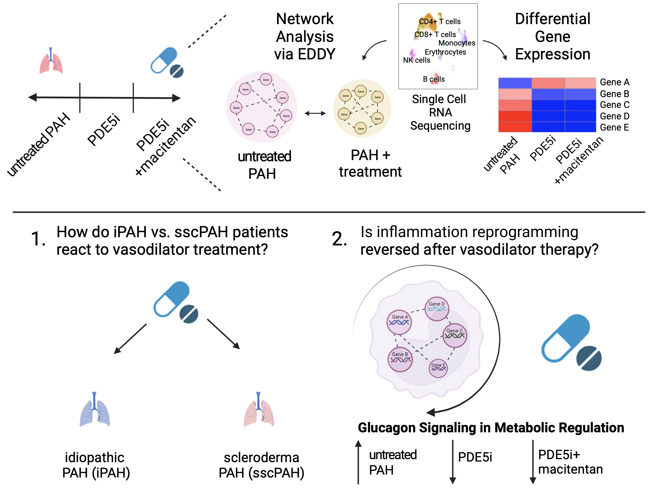 Reversal of inflammatory reprogramming by vasodilator agents in pulmonary hypertension